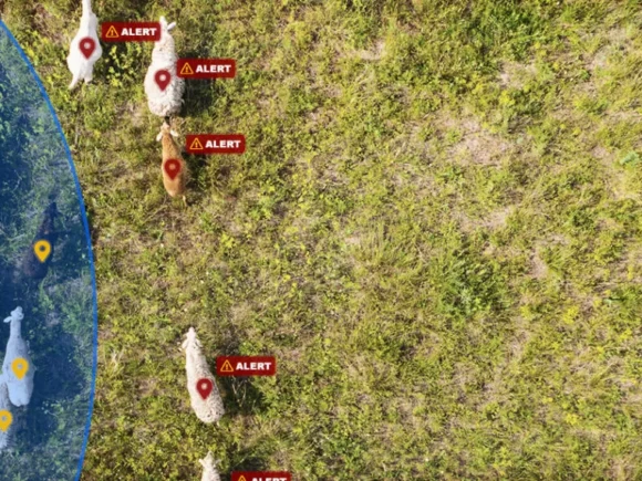 GSatSolar: Revolutionizing Reliable Satellite Tracking