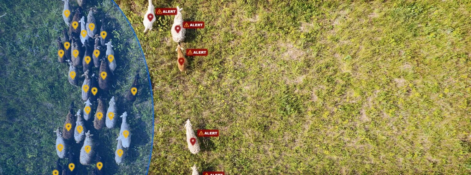 GSatSolar: Revolutionizing Reliable Satellite Tracking